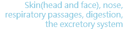 Skin(head and face), nose, respiratory passages, digestion, the excretory system