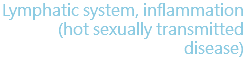 Lymphatic system, inflammation (hot sexually transmitted disease)