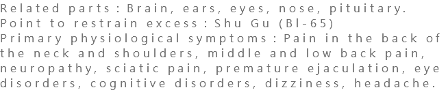 Related parts：Brain, ears, eyes, nose, pituitary. Point to restrain excess：Shu Gu (Bl-65) Primary physiological symptoms：Pain in the back of the neck and shoulders, middle and low back pain, neuropathy, sciatic pain, premature ejaculation, eye disorders, cognitive disorders, dizziness, headache.