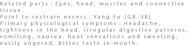 Related parts：Eyes, head, muscles and connective tissue. Point to restrain excess：Yang Fu (GB-38) Primary physiological symptoms：Headache, tightness in the head, irregular digestive patterns, vomiting, nausea, heat sensations and sweating, easily angered, bitter taste in mouth.