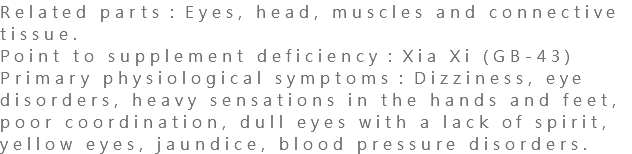 Related parts：Eyes, head, muscles and connective tissue. Point to supplement deficiency：Xia Xi (GB-43) Primary physiological symptoms：Dizziness, eye disorders, heavy sensations in the hands and feet, poor coordination, dull eyes with a lack of spirit, yellow eyes, jaundice, blood pressure disorders.