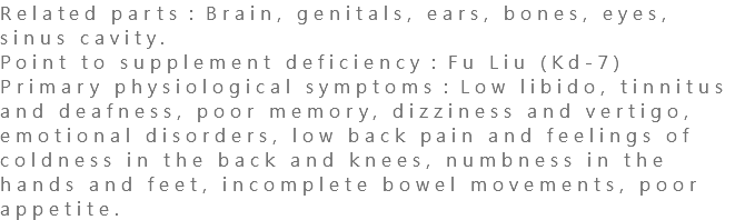 Related parts：Brain, genitals, ears, bones, eyes, sinus cavity. Point to supplement deficiency：Fu Liu (Kd-7) Primary physiological symptoms：Low libido, tinnitus and deafness, poor memory, dizziness and vertigo, emotional disorders, low back pain and feelings of coldness in the back and knees, numbness in the hands and feet, incomplete bowel movements, poor appetite.