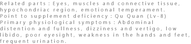 Related parts：Eyes, muscles and connective tissue, hypochondriac region, emotional temperament. Point to supplement deficiency：Qu Quan (Lv-8) Primary physiological symptoms：Abdominal distention and fullness, dizziness and vertigo, low libido, poor eyesight, weakness in the hands and feet, frequent urination.